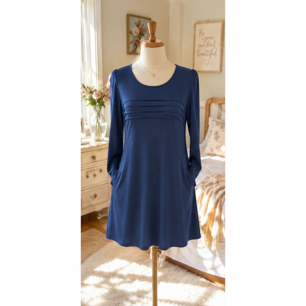 NWT Wenrine Blue Long Sleeve Pleated Front Mini Dress w Pockets